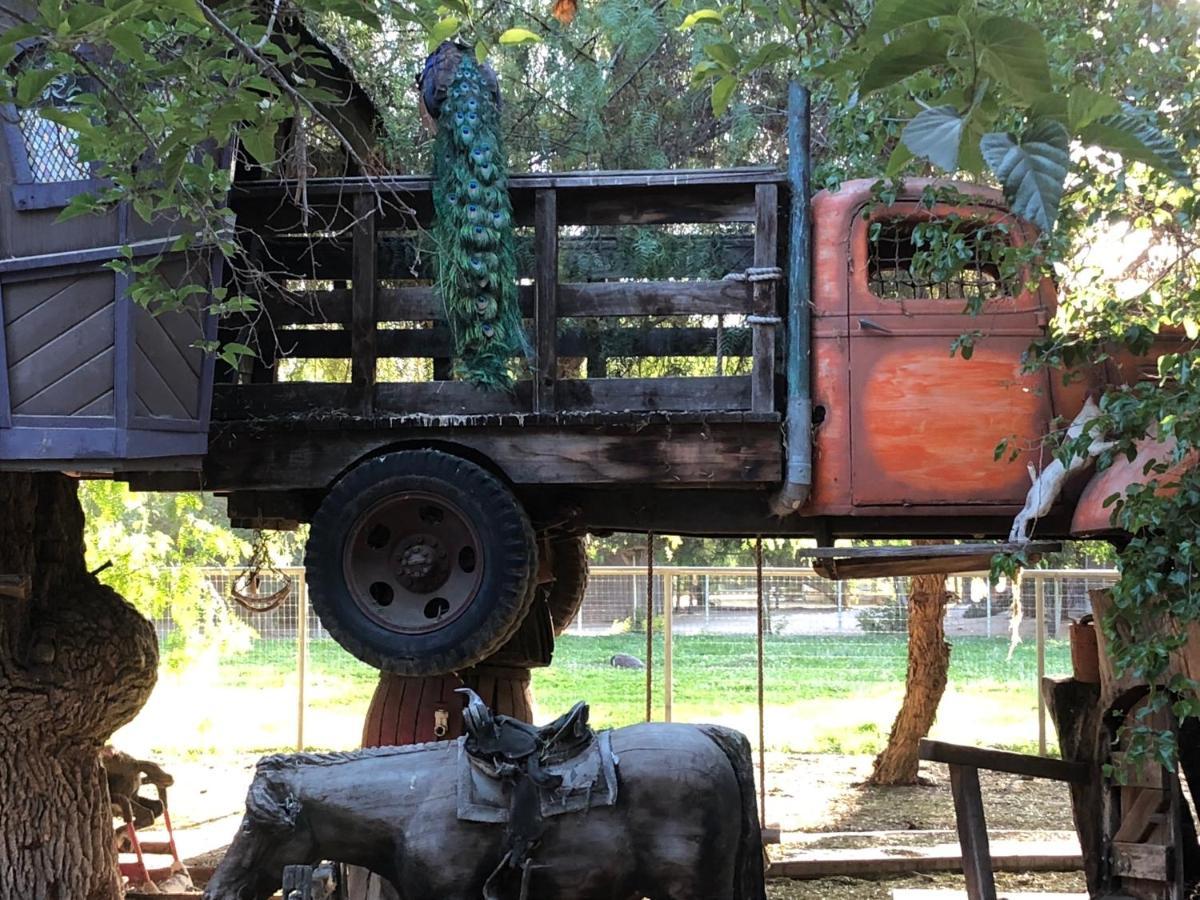 Wine Country Private Working Sheep Farm; Rustic Elegance Villa Temecula Eksteriør billede